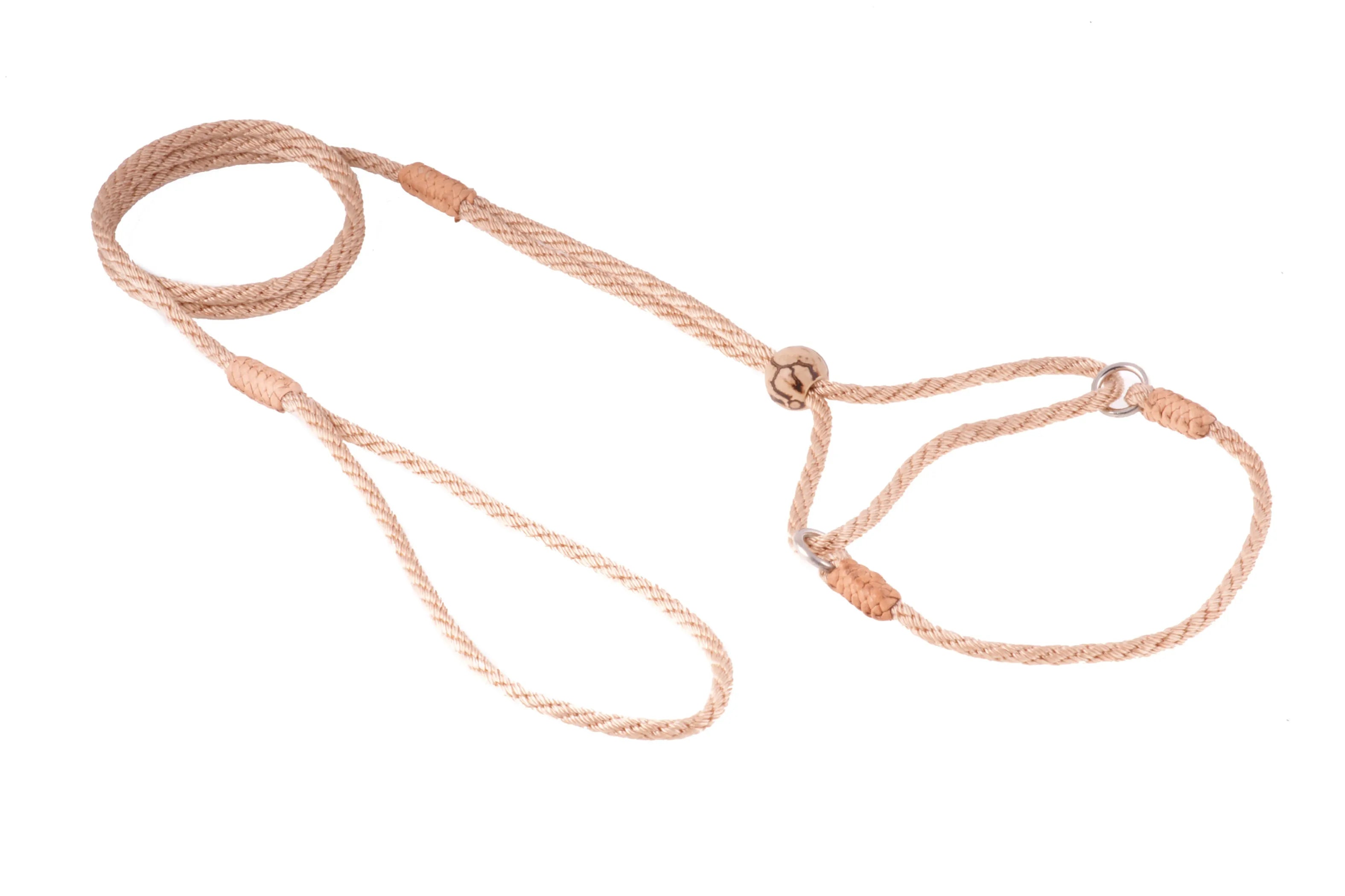 Nylon Martingale Leads (8in x 1/8in or 4mm)