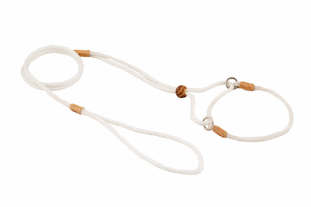 Nylon Martingale Leads (8in x 1/8in or 4mm)