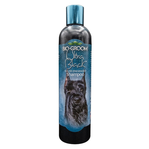BG Ultra Blk Color Enhancer Shamp 12oz