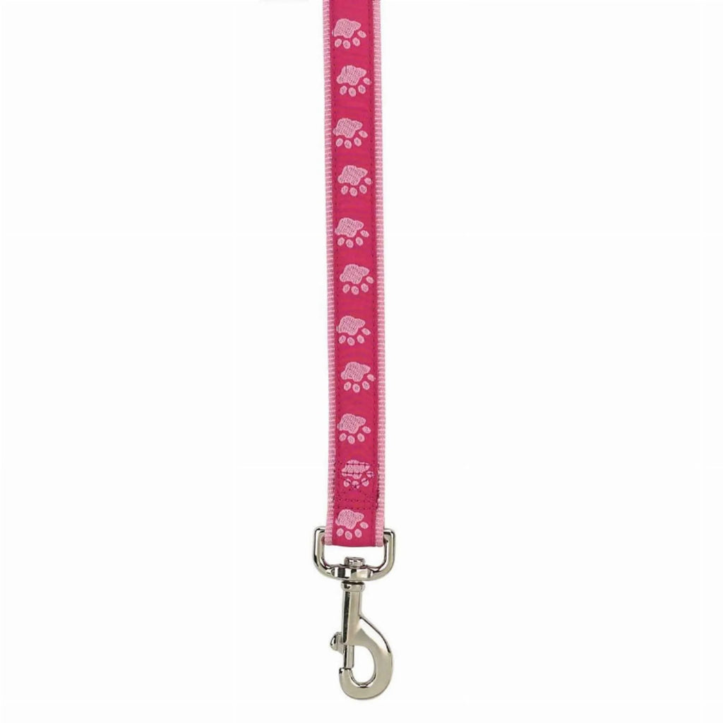 CC TwoTone Pawprint Lead 4Ftx5/8In Blk