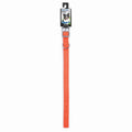Diggers 1in Nylon Neon Collar 20in Org