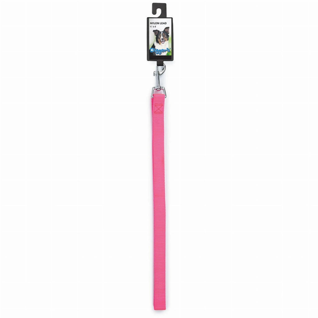 DGR 3/4in Nylon Lead 48in Blue