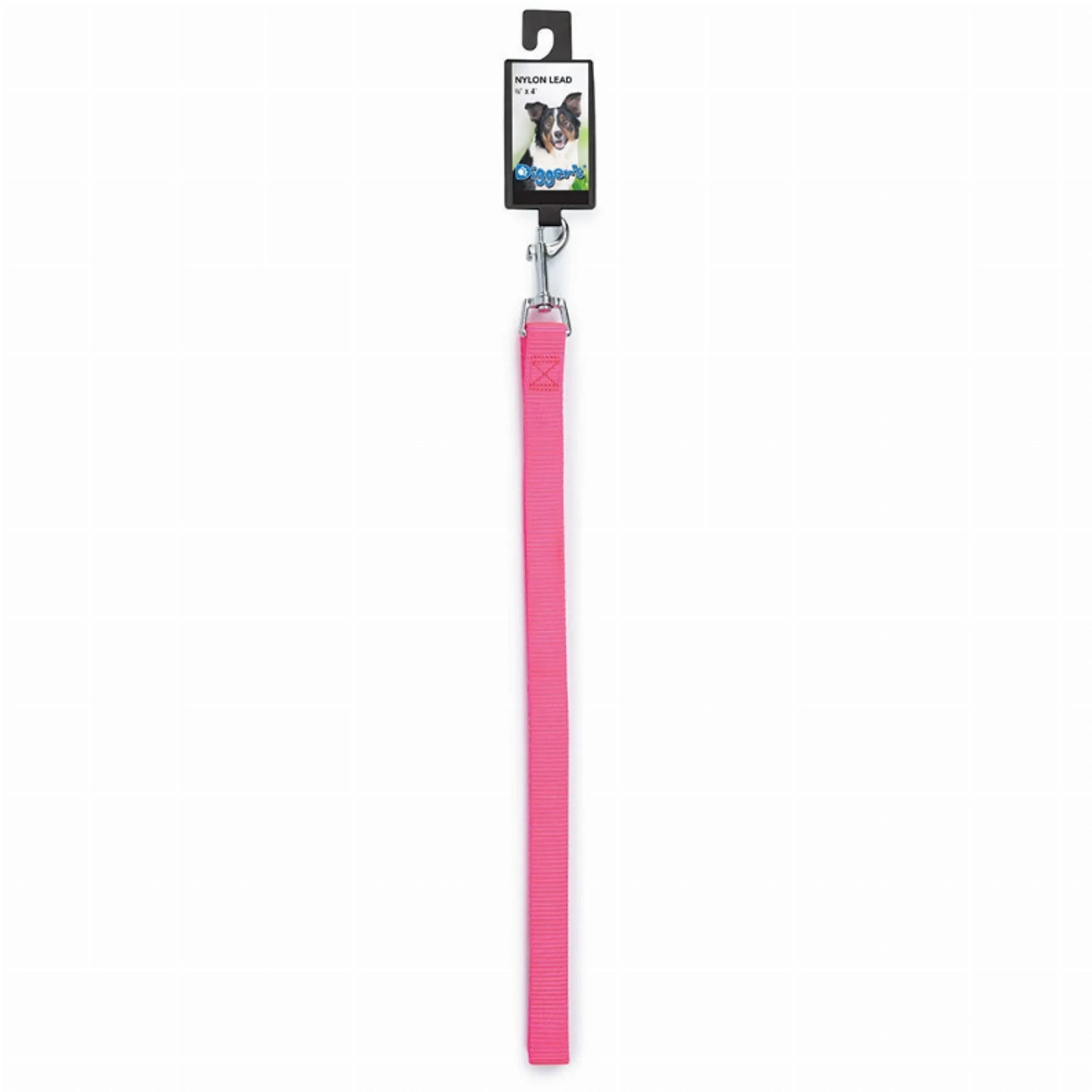 DGR 3/4in Nylon Lead 48in Blue