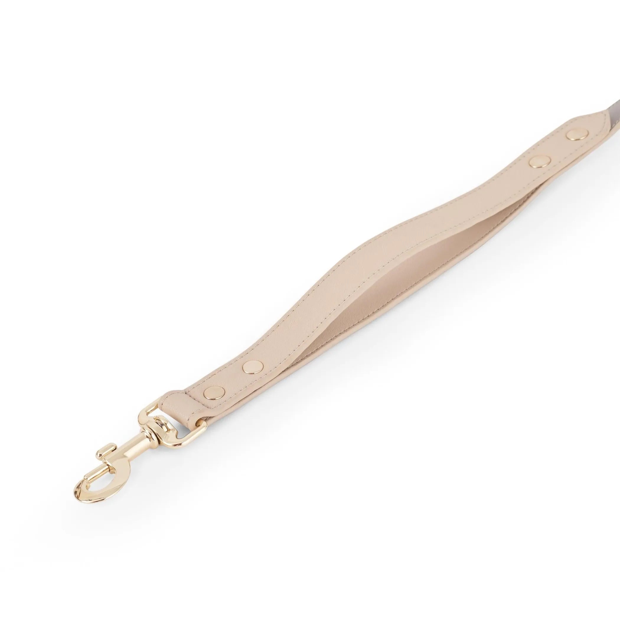 London Dog Leash
