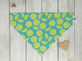 Over-The-Collar Dog Bandana