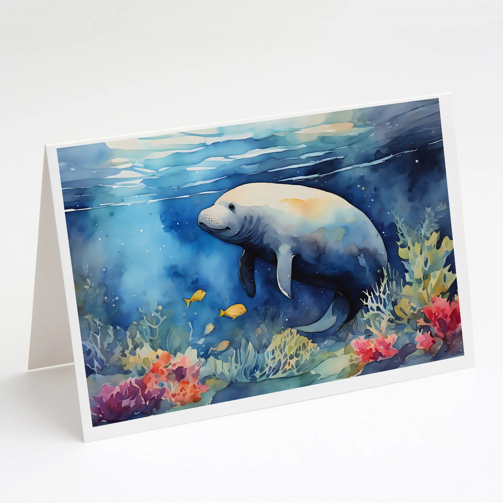 Nautical Collection Greeting Cards  - Size: 5X7 | Pack Of: 8 | Collection name: Nautical collection
