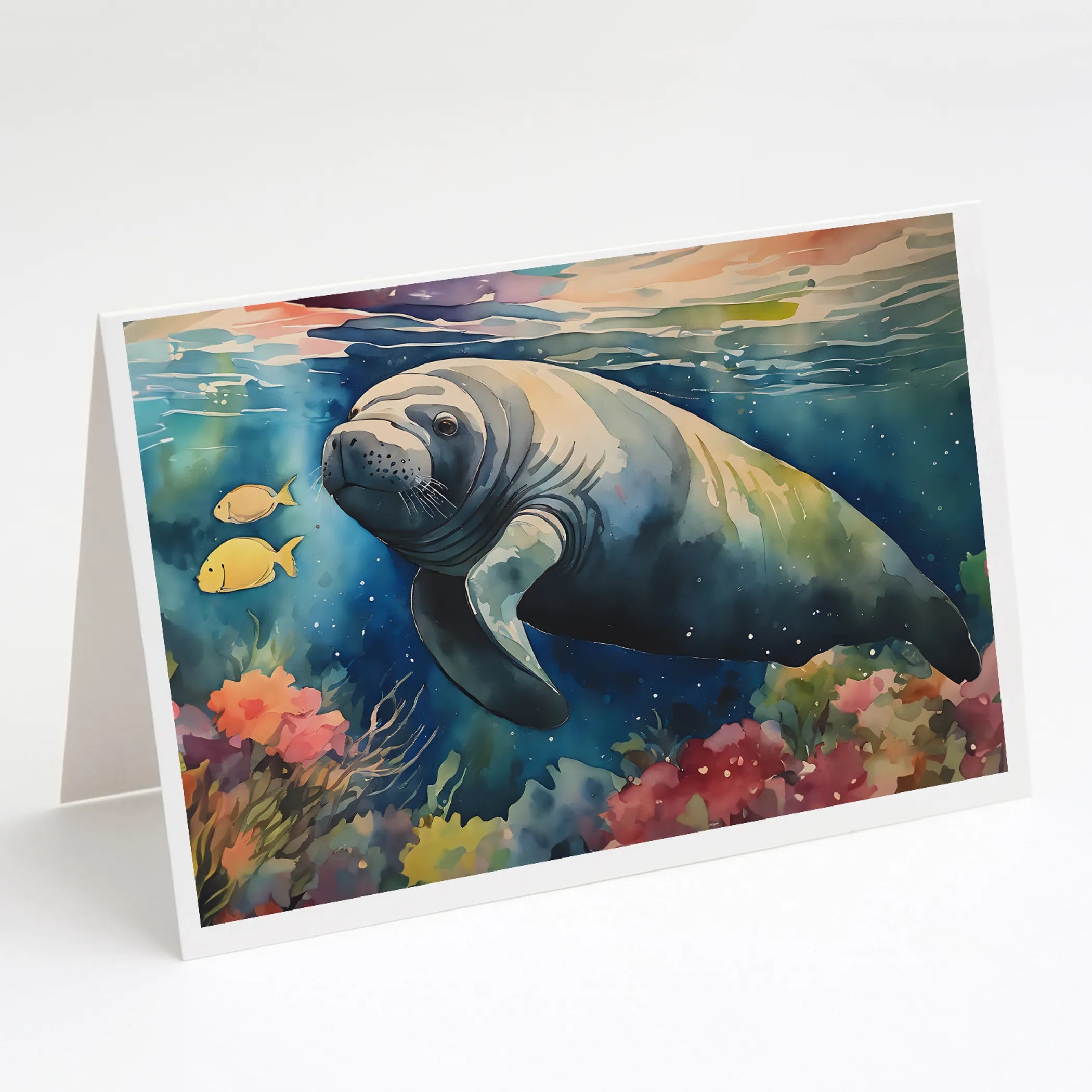 Nautical Collection Greeting Cards  - Size: 5X7 | Pack Of: 8 | Collection name: Nautical collection