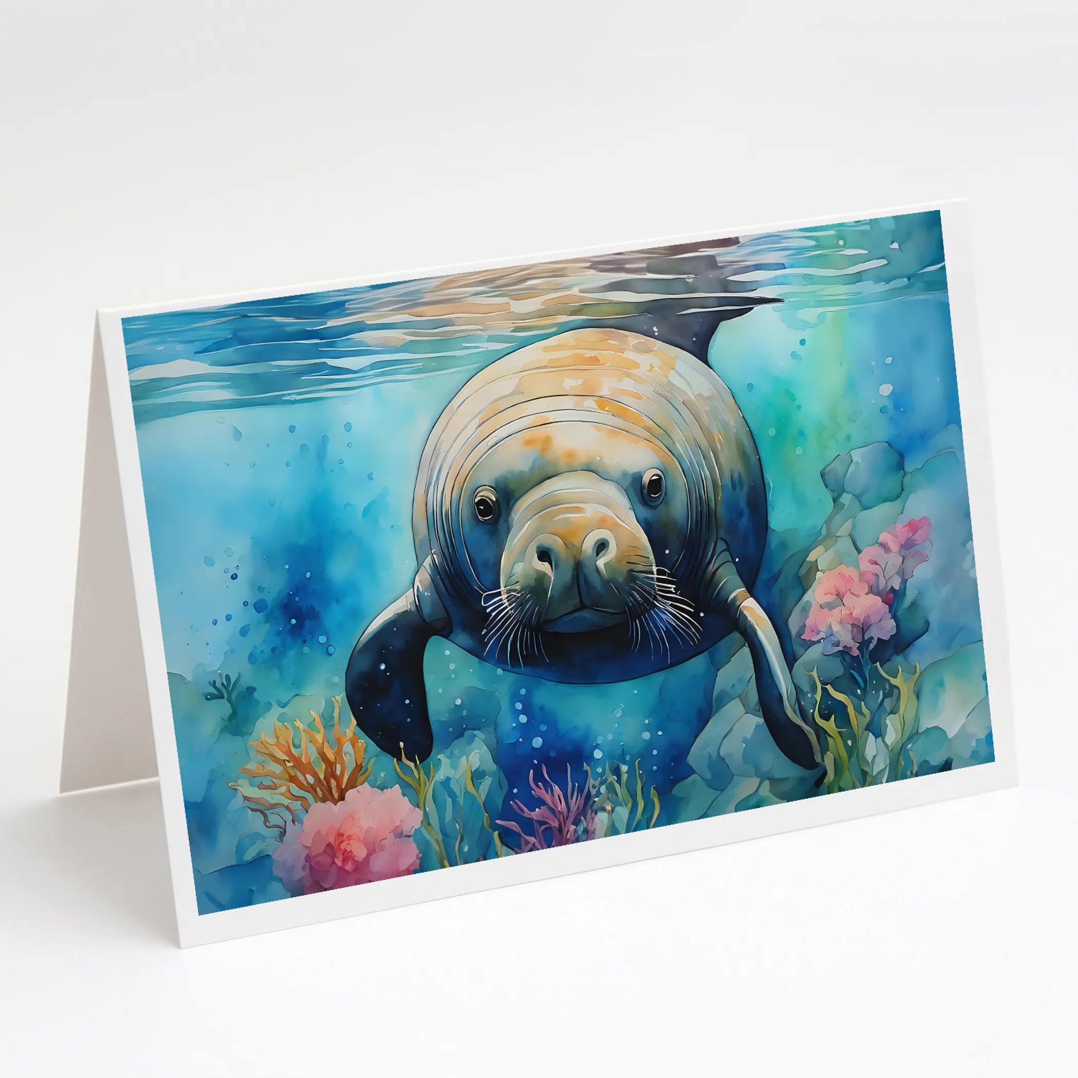 Nautical Collection Greeting Cards  - Size: 5X7 | Pack Of: 8 | Collection name: Nautical collection