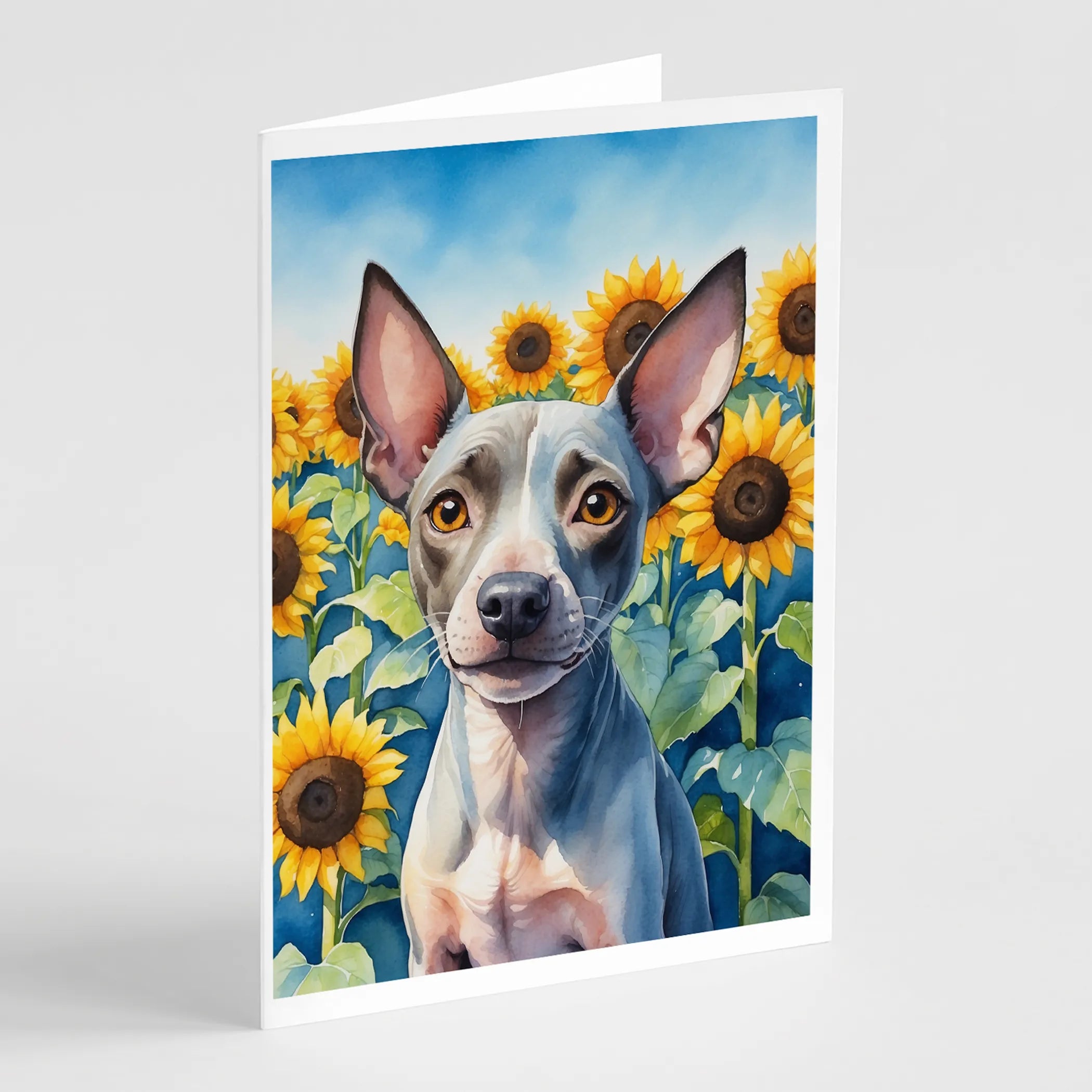 In Sunflowers Greeting Cards  - Size: 5X7 | Pack Of: 1 | Collection name: In sunflowers