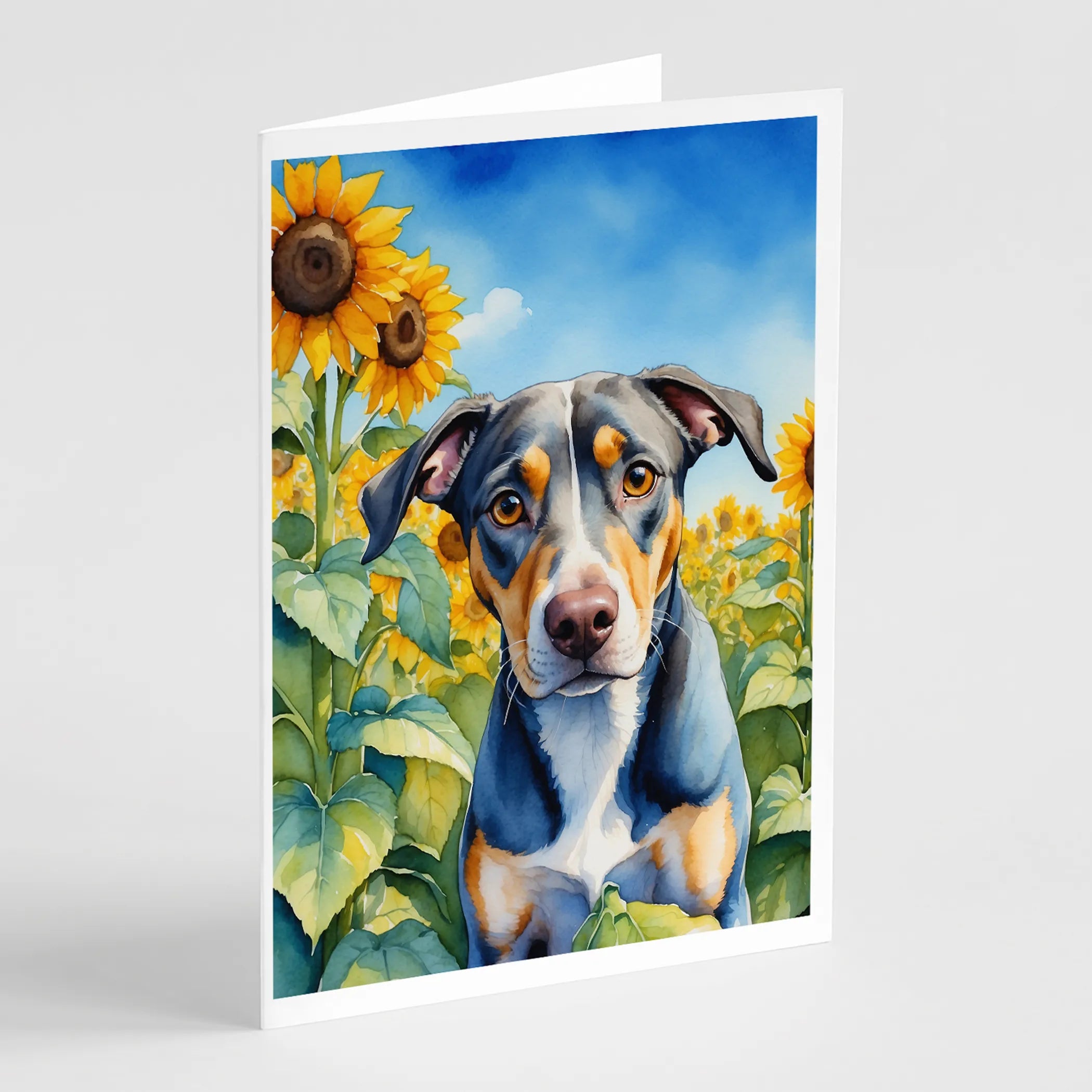 In Sunflowers Greeting Cards  - Size: 5X7 | Pack Of: 1 | Collection name: In sunflowers