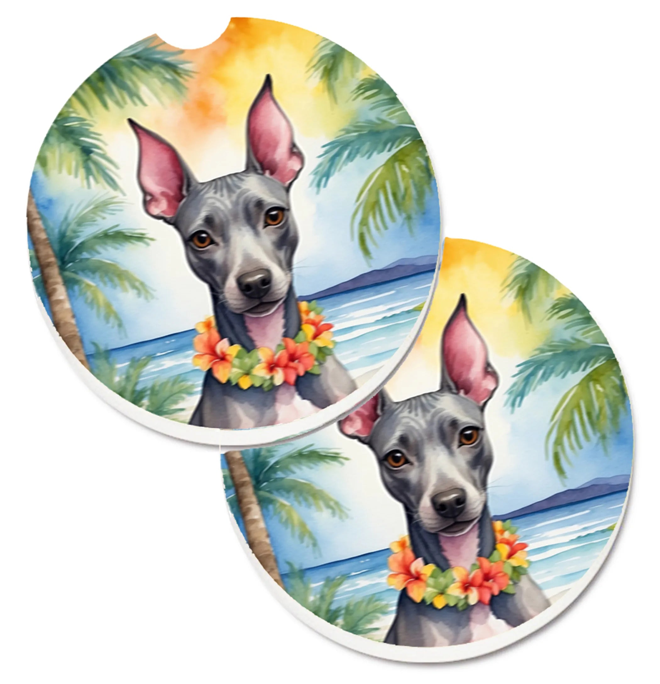 Luau Party Set of 2 Cup Holder Car Coasters - Size: 2.56 | Pack Of: 1 | Collection name: Luau party