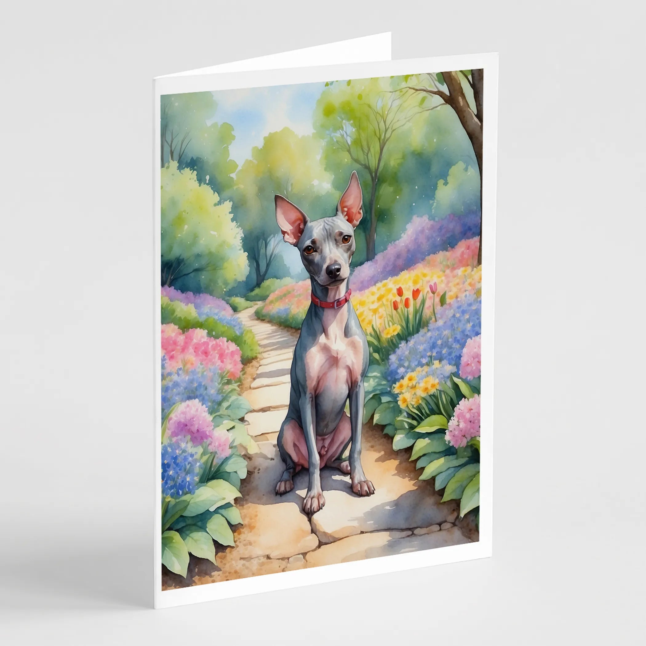 Spring Path Greeting Cards  - Size: 5X7 | Pack Of: 8 | Collection name: Spring path