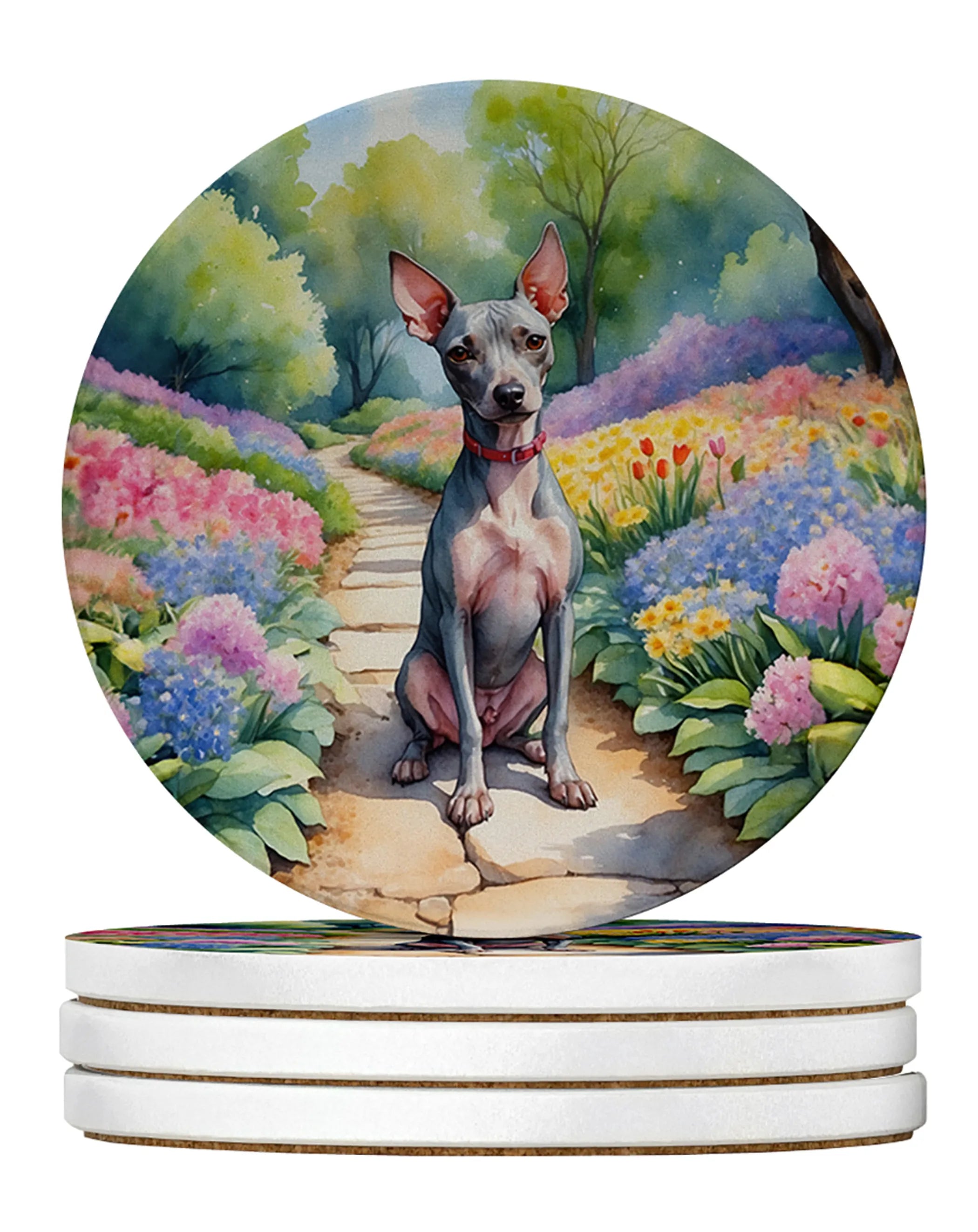 Spring Path Large Sandstone Coasters (Pack of 4)