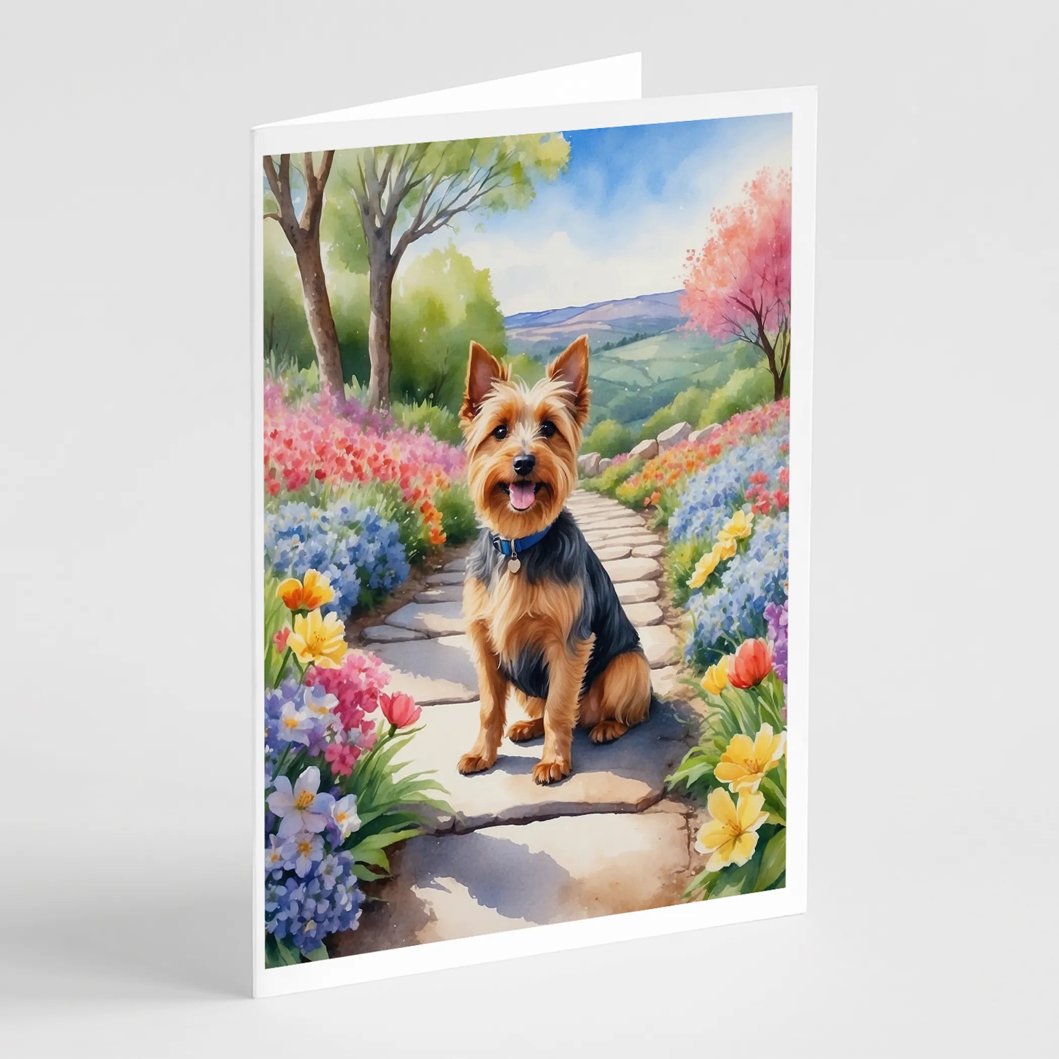 Spring Path Greeting Cards  - Size: 5X7 | Pack Of: 8 | Collection name: Spring path
