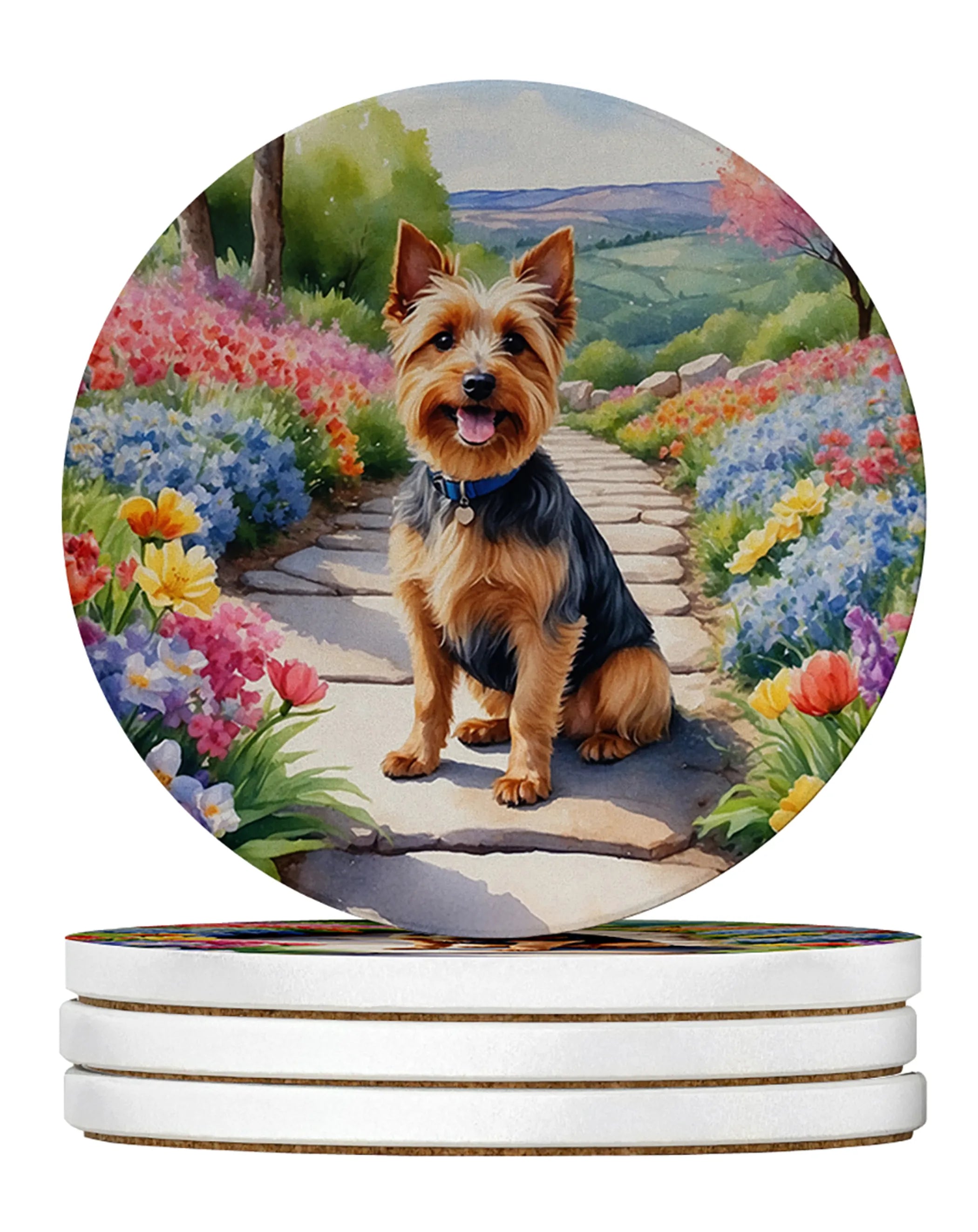 Spring Path Large Sandstone Coasters (Pack of 4)