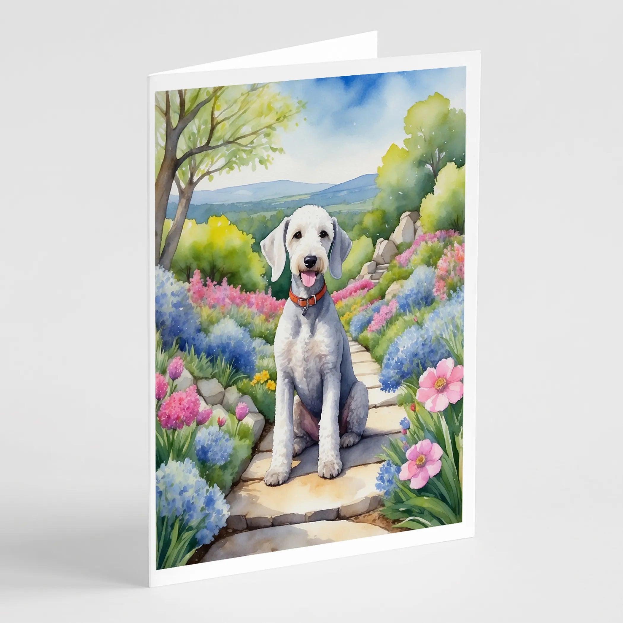 Spring Path Greeting Cards  - Size: 5X7 | Pack Of: 8 | Collection name: Spring path