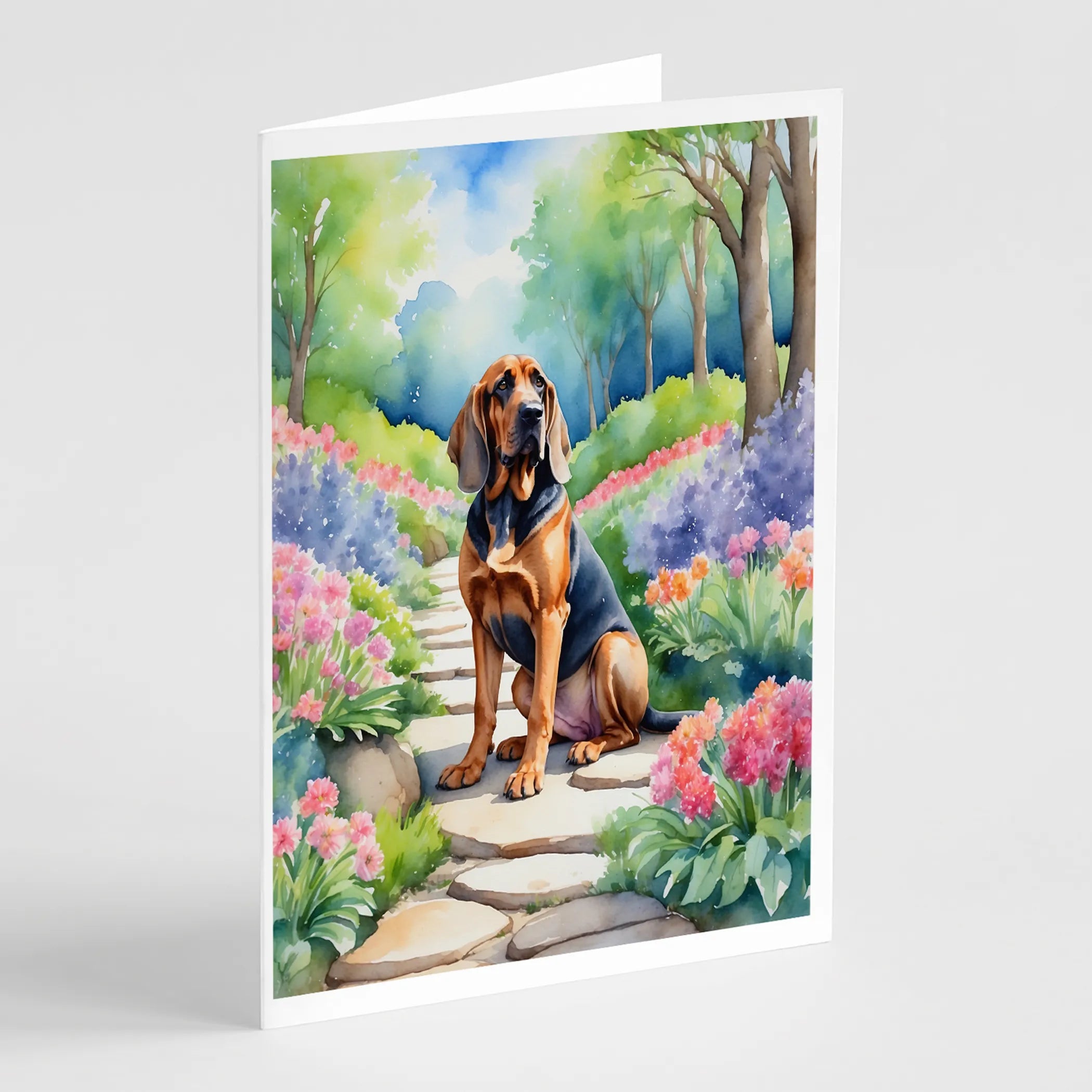 Spring Path Greeting Cards  - Size: 5X7 | Pack Of: 8 | Collection name: Spring path