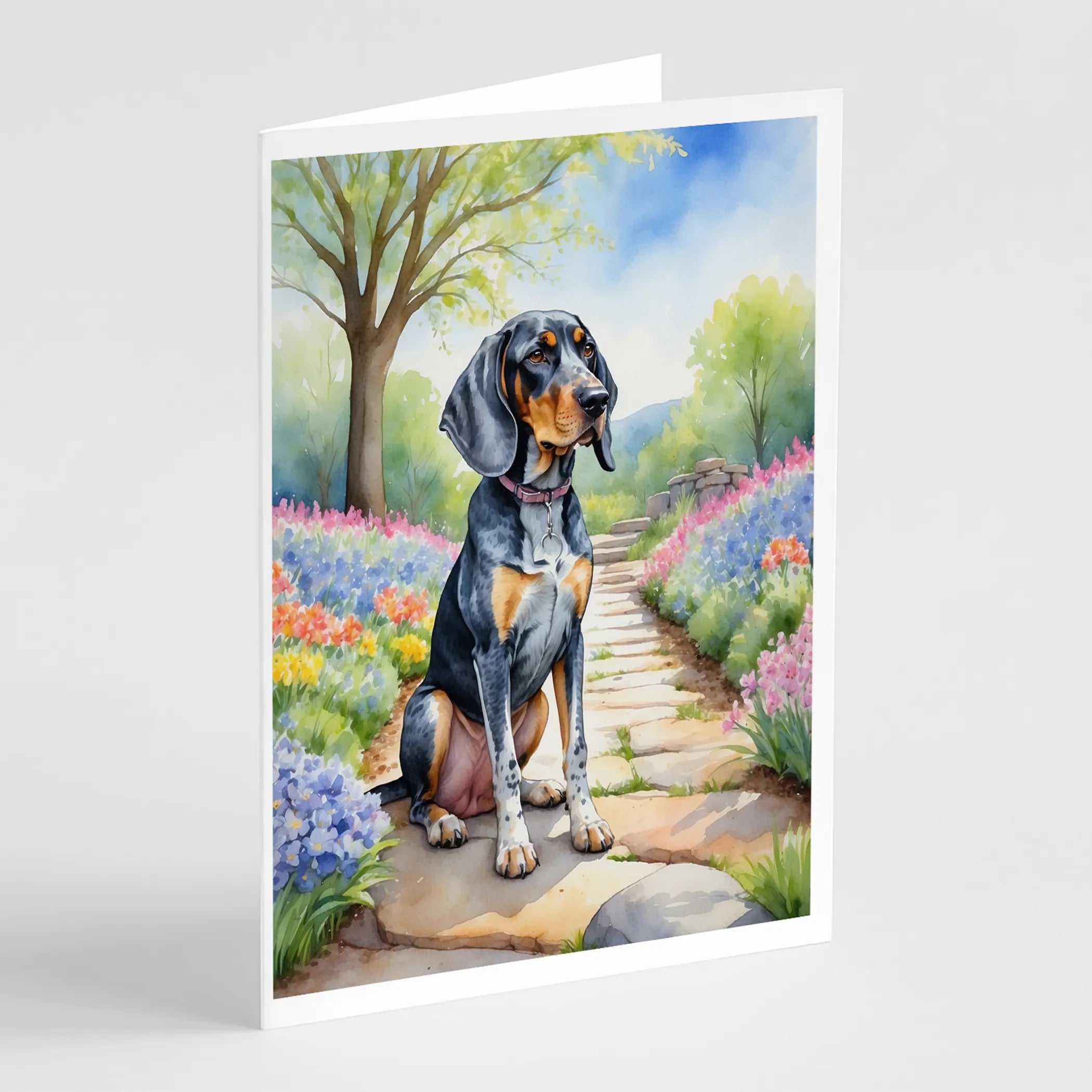 Spring Path Greeting Cards  - Size: 5X7 | Pack Of: 8 | Collection name: Spring path