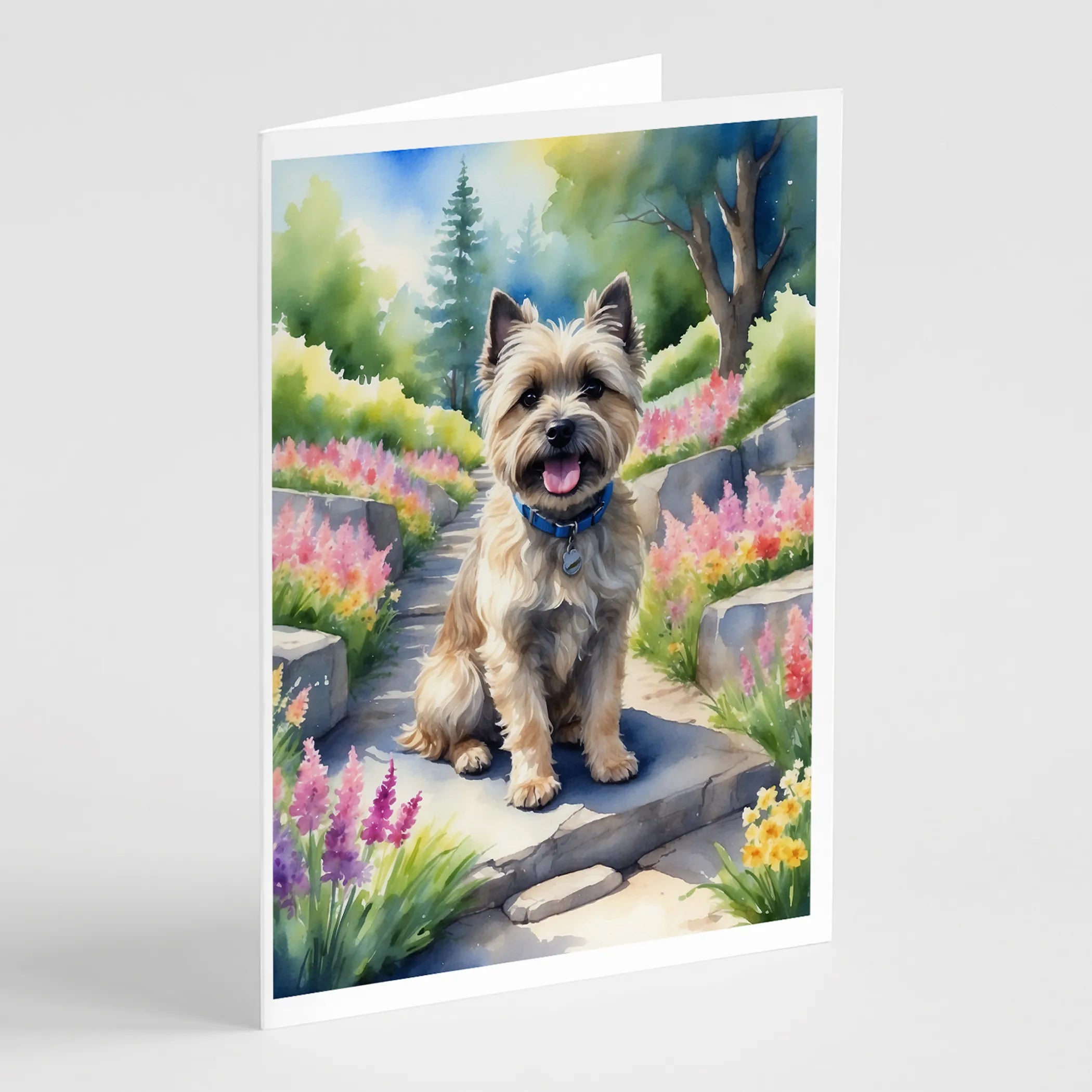 Spring Path Greeting Cards  - Size: 5X7 | Pack Of: 8 | Collection name: Spring path