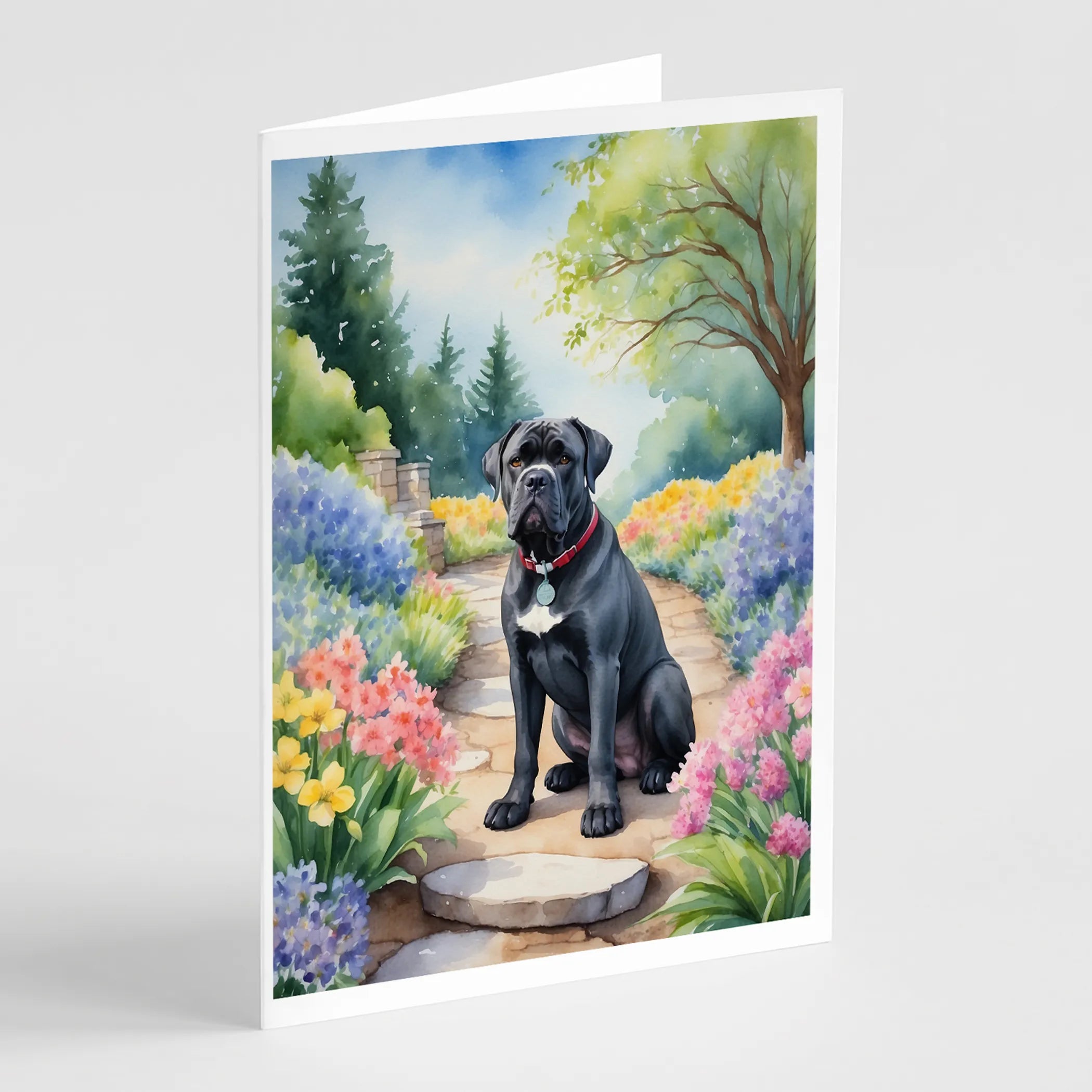Spring Path Greeting Cards  - Size: 5X7 | Pack Of: 8 | Collection name: Spring path