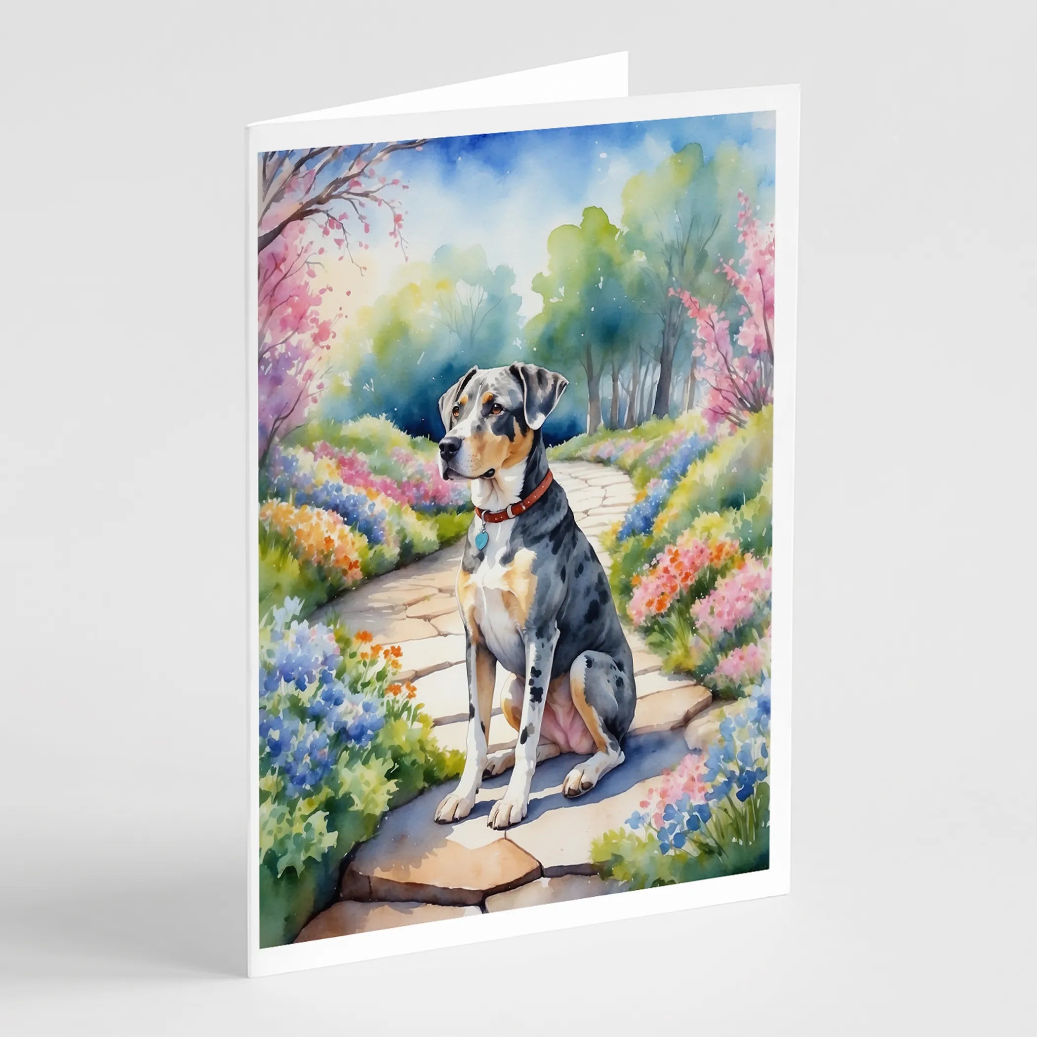 Spring Path Greeting Cards  - Size: 5X7 | Pack Of: 8 | Collection name: Spring path