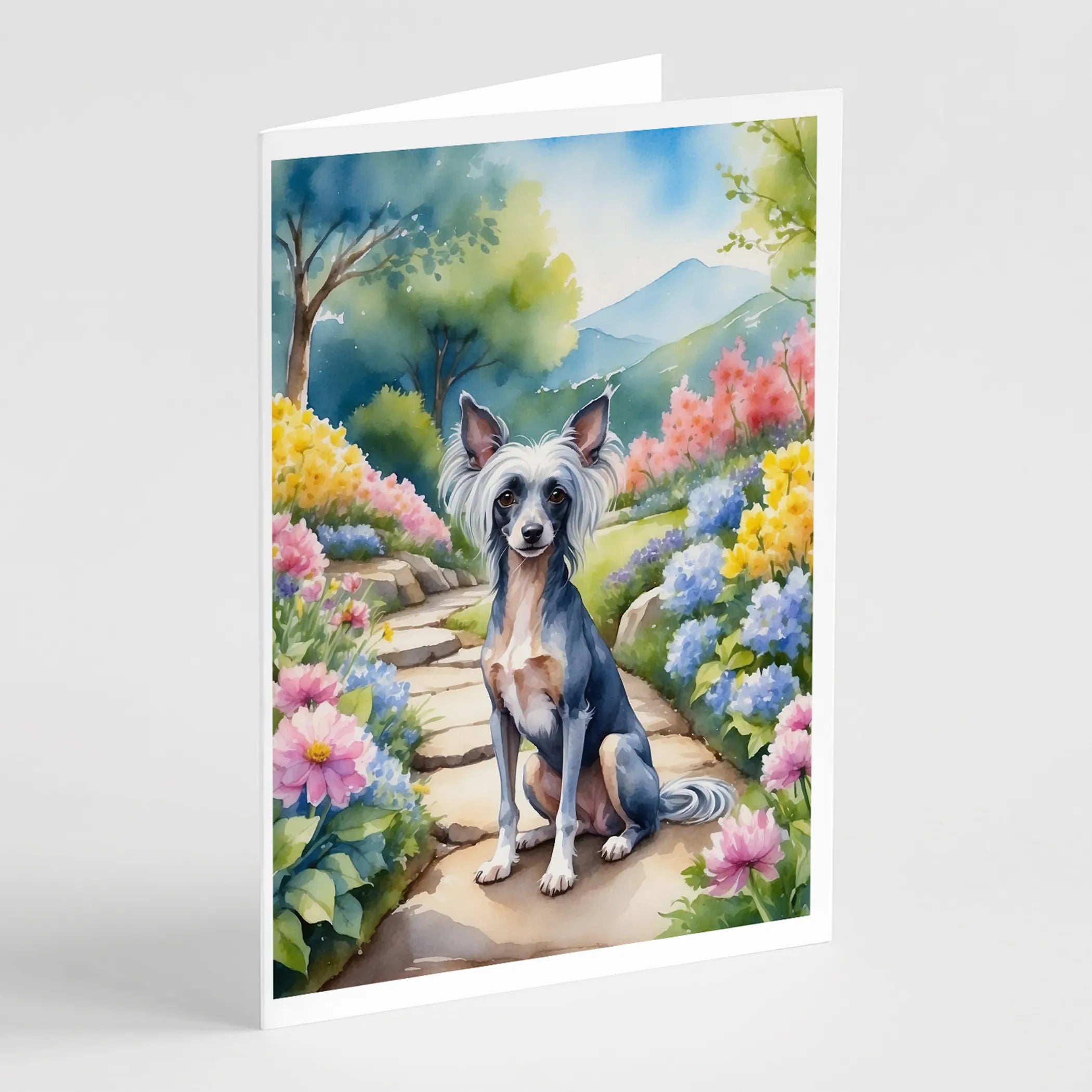 Spring Path Greeting Cards  - Size: 5X7 | Pack Of: 8 | Collection name: Spring path
