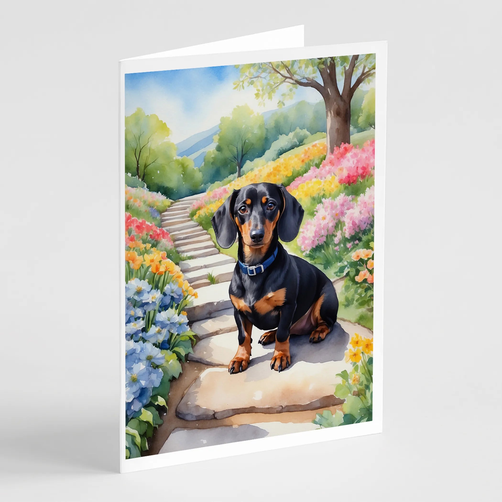 Spring Path Greeting Cards  - Size: 5X7 | Pack Of: 8 | Collection name: Spring path
