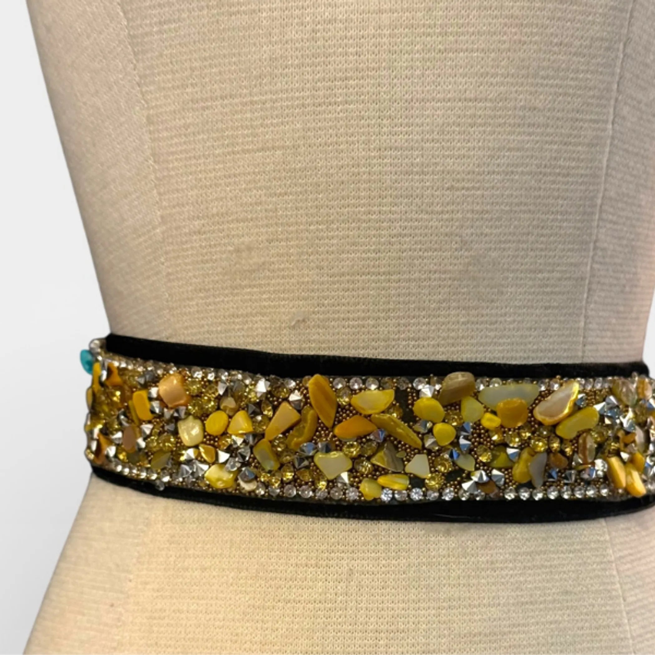 Gilded Noir Crystal Velvet Collar