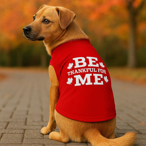 Be Thankful for Me Classic Tee
