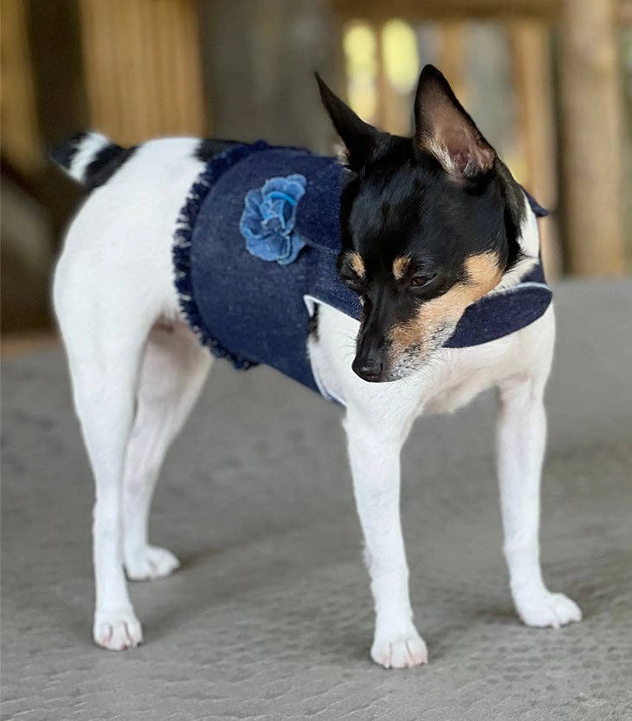 DCNY Harness Vest