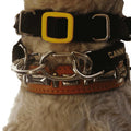 Canny Carabiners [pack of 2]