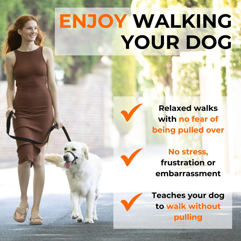 Canny Collar No-Pull Dog Head Collar Gentle & Humane Leash Training Aid