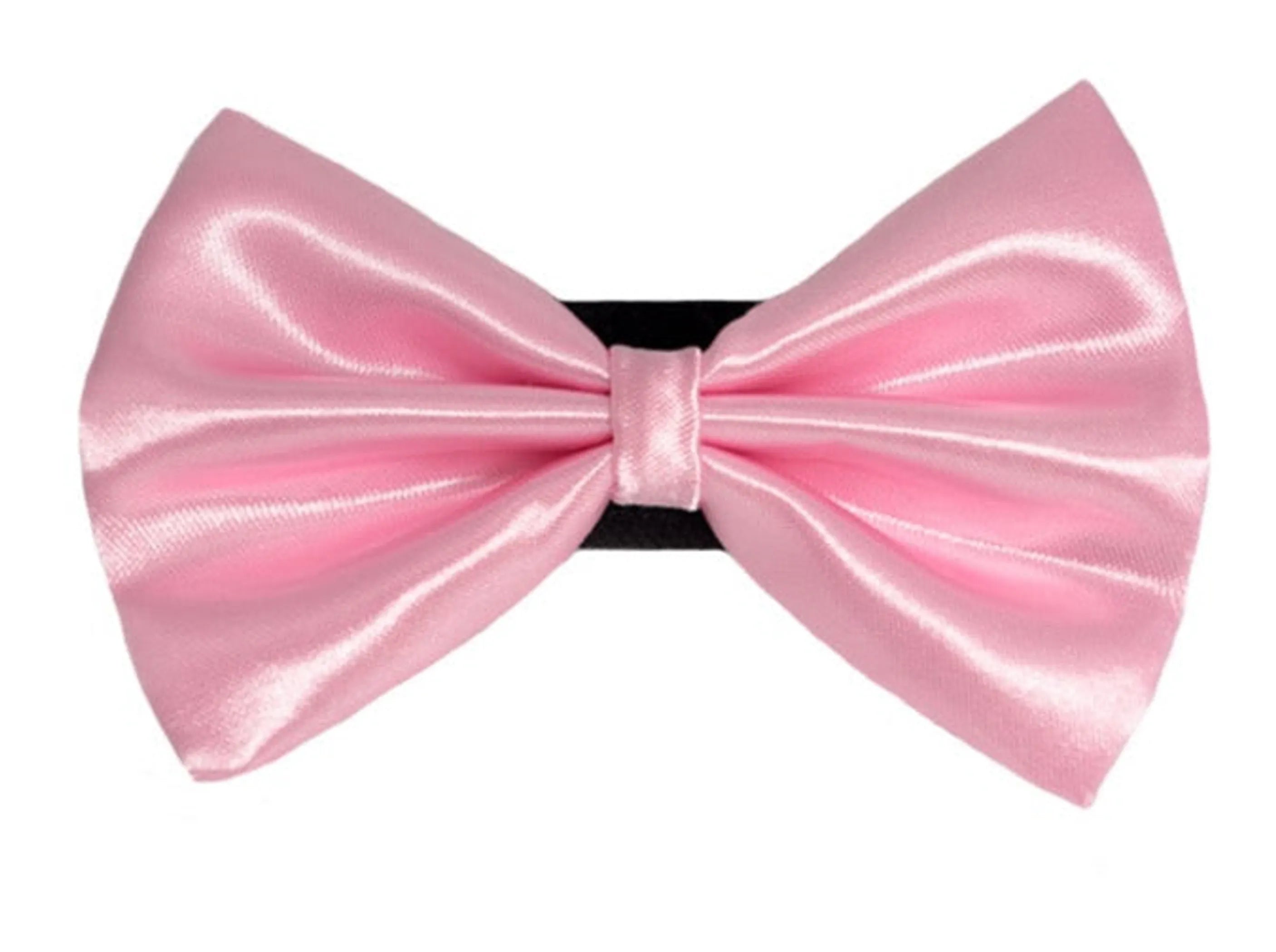 PR3000|Pets Ribbons
