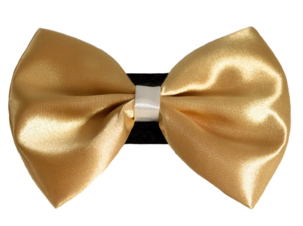PR3001|Pets Ribbons