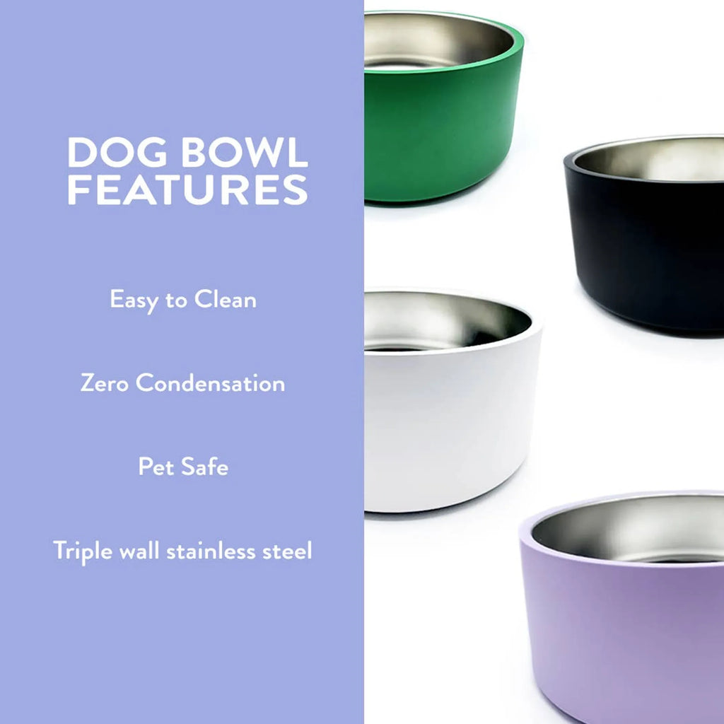 White Dog Bowl
