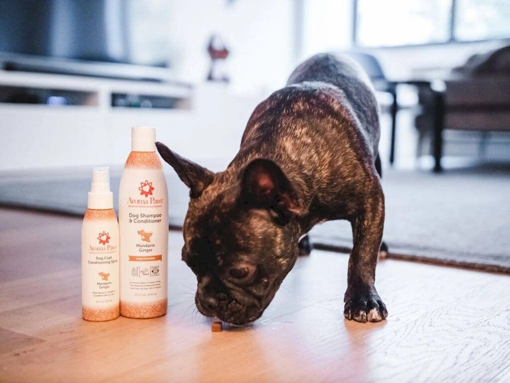 4.5 Oz. Dog Coat Spray Mandarin Ginger