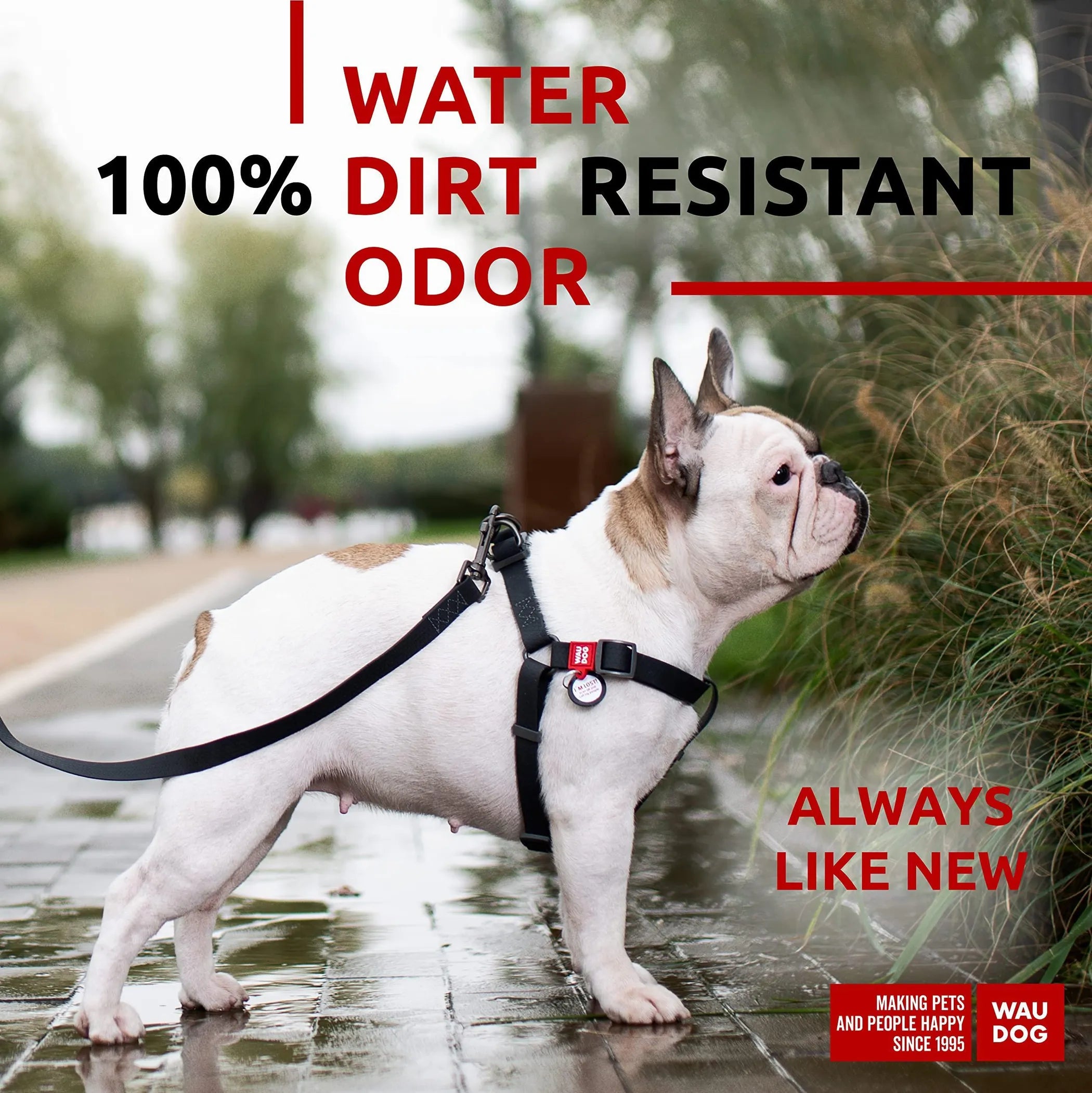 Waterproof Dog Harness M Size Adjustable Dog Harness for Large and Medium Dogs Heavy Duty Dog Harness with Durable Metal Clasp and QR Dog Tag Boy & Gi