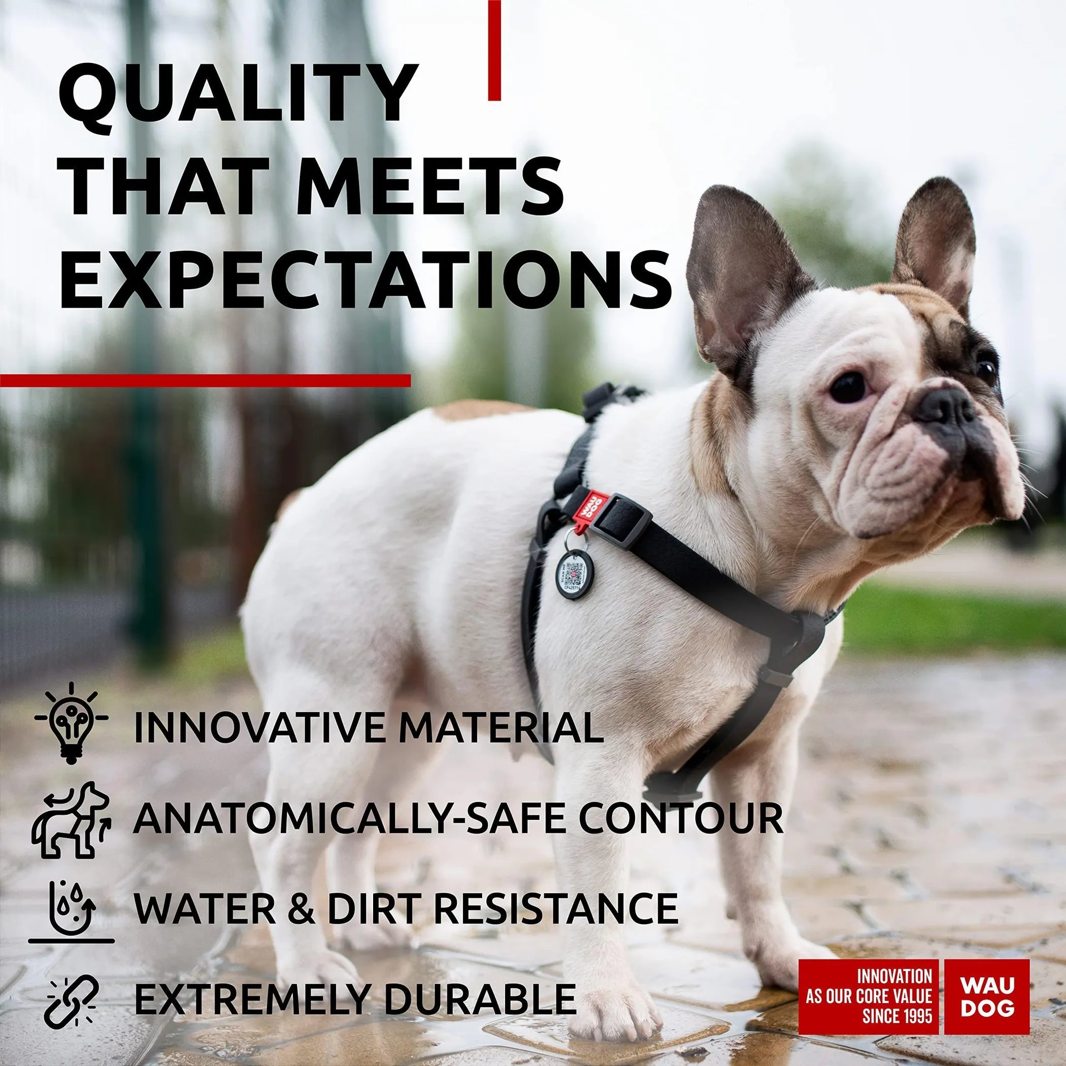 Waterproof Dog Harness M Size Adjustable Dog Harness for Large and Medium Dogs Heavy Duty Dog Harness with Durable Metal Clasp and QR Dog Tag Boy & Gi