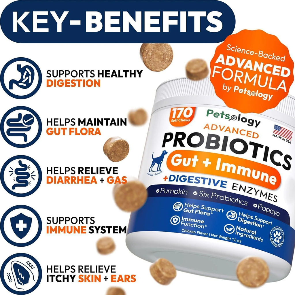 2 Pack Probiotics for Dogs 340 Dog Probiotics Chews Digestive Enzymes & Prebiotics Support Gut Health Diarrhea Gas & Constipation Relief Itchy Skin Al