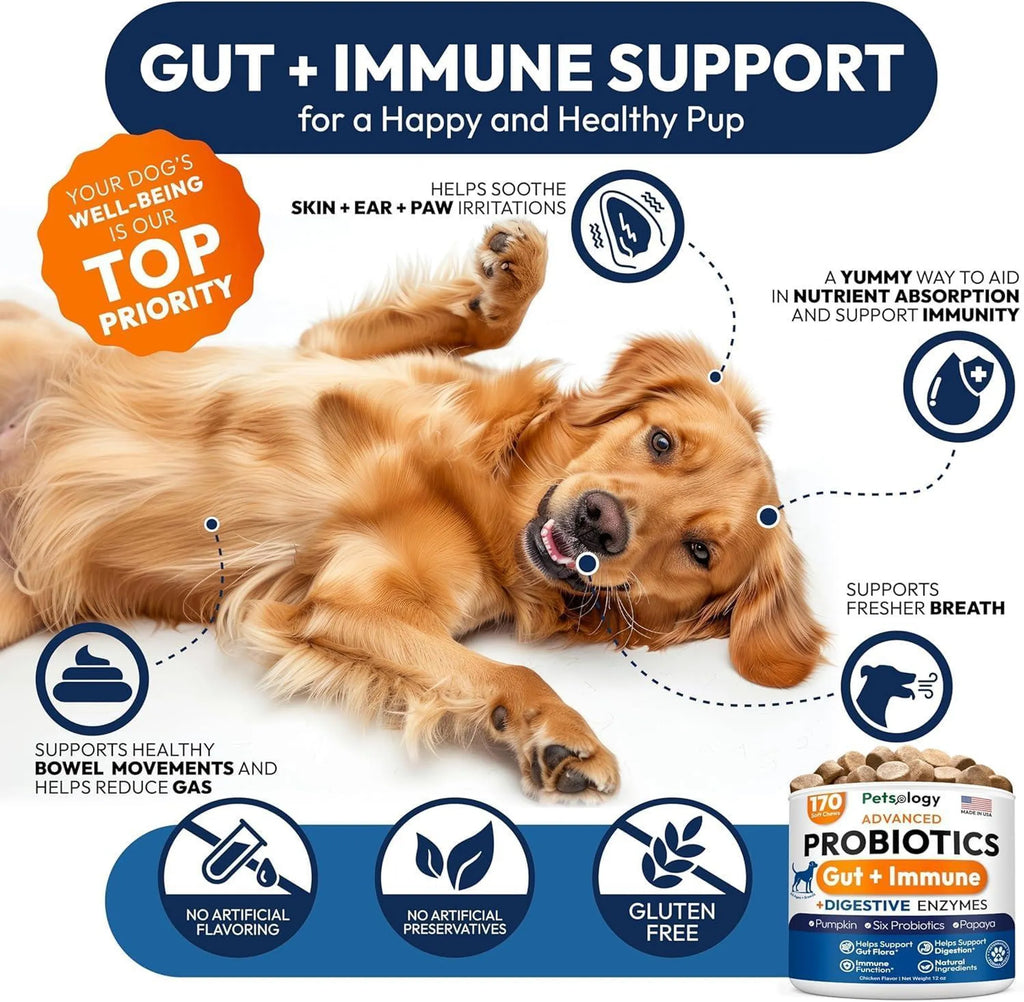 2 Pack Probiotics for Dogs 340 Dog Probiotics Chews Digestive Enzymes & Prebiotics Support Gut Health Diarrhea Gas & Constipation Relief Itchy Skin Al