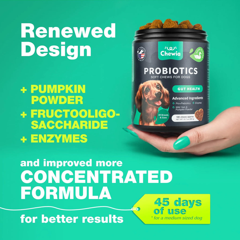 Probiotics for Dogs Gut Health Digestion