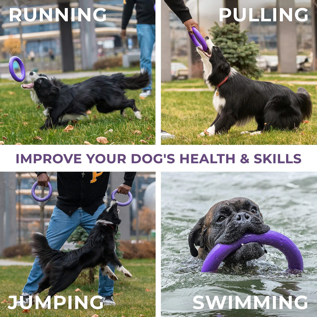 Puller Outdoor Dog Ring Toys MIDI TWO Rings Dog Fetch Toy & Tug of War Dog Toy for Small Medium Large Dogs Dog Ball & Soft Dog Frisbee Alt Outside Dog