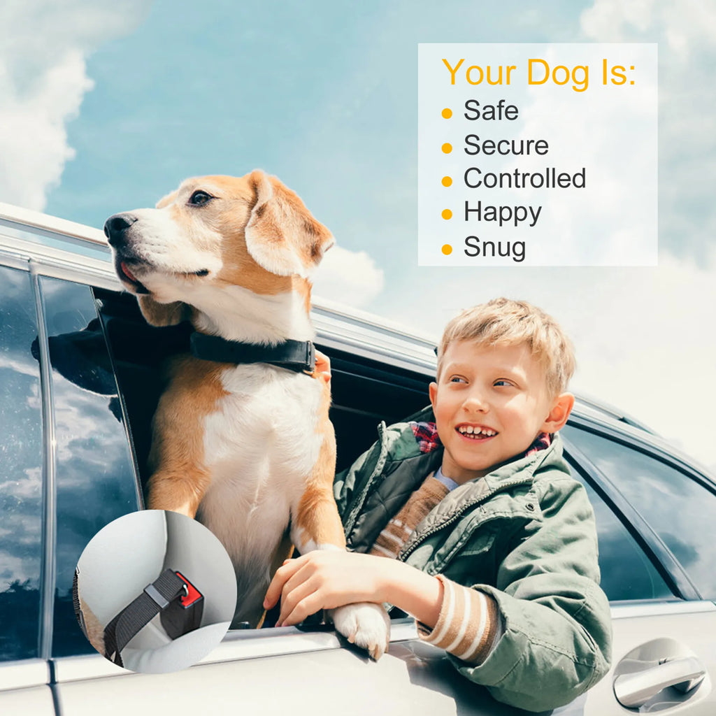 iMounTEK 1 PC Adjustable Dog