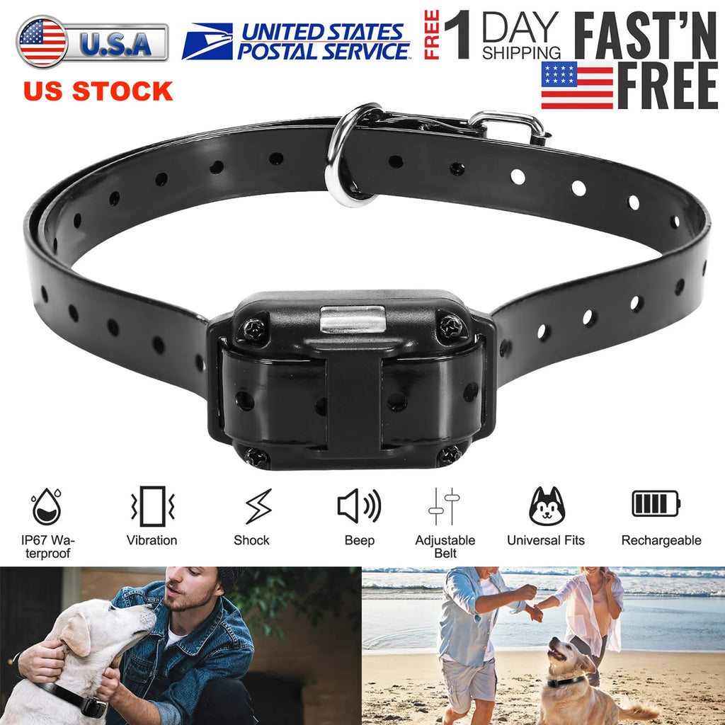 Dog Training Collar