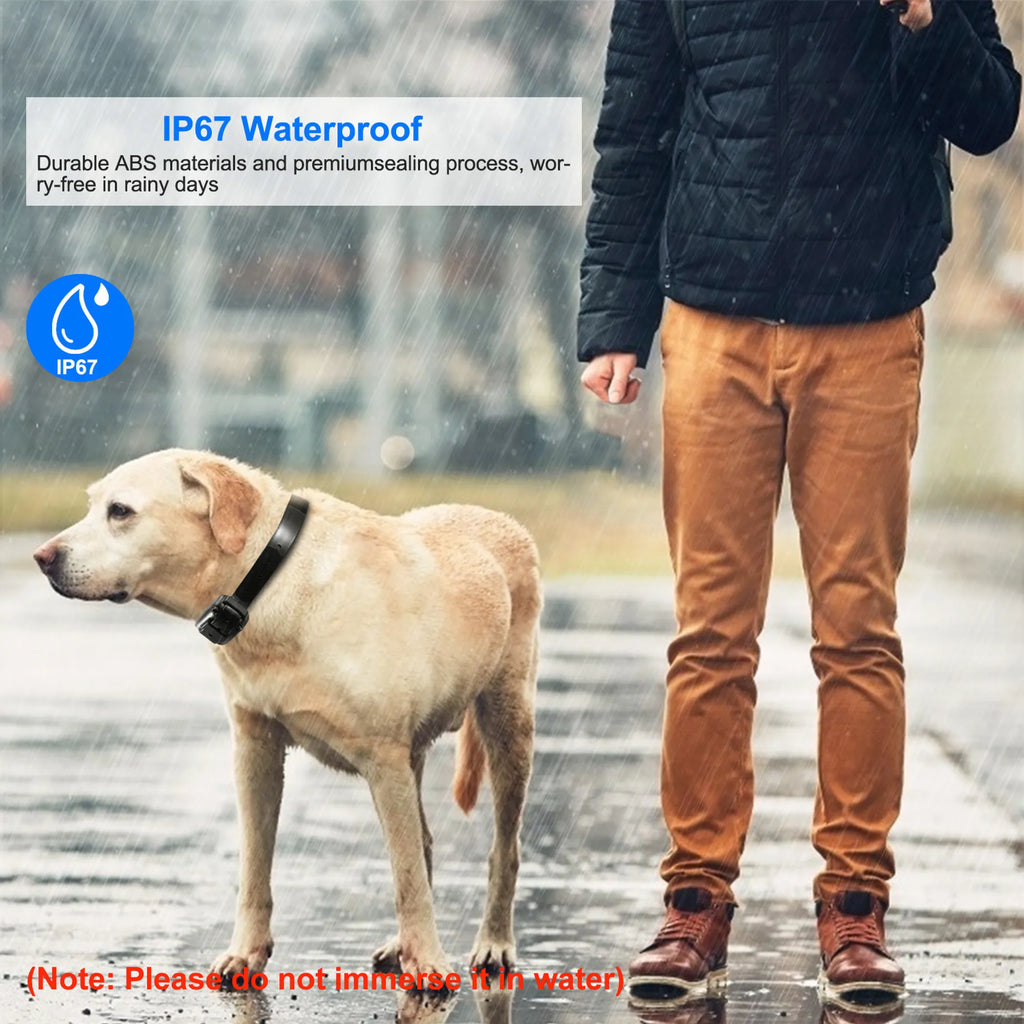 Dog Training Collar