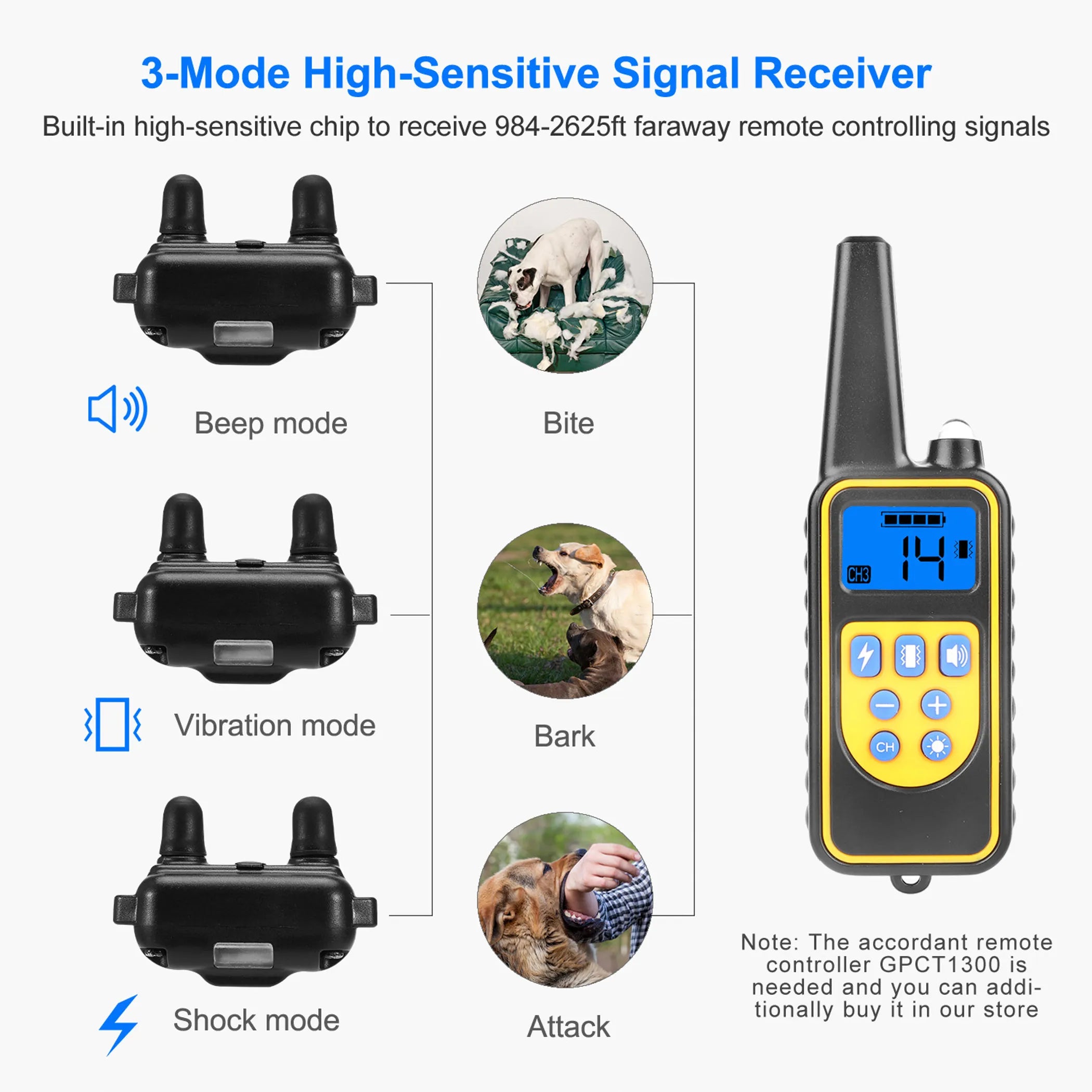 Dog Training Collar