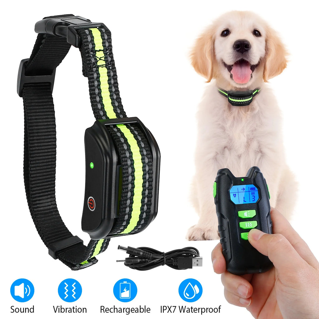 Dog Training Collar