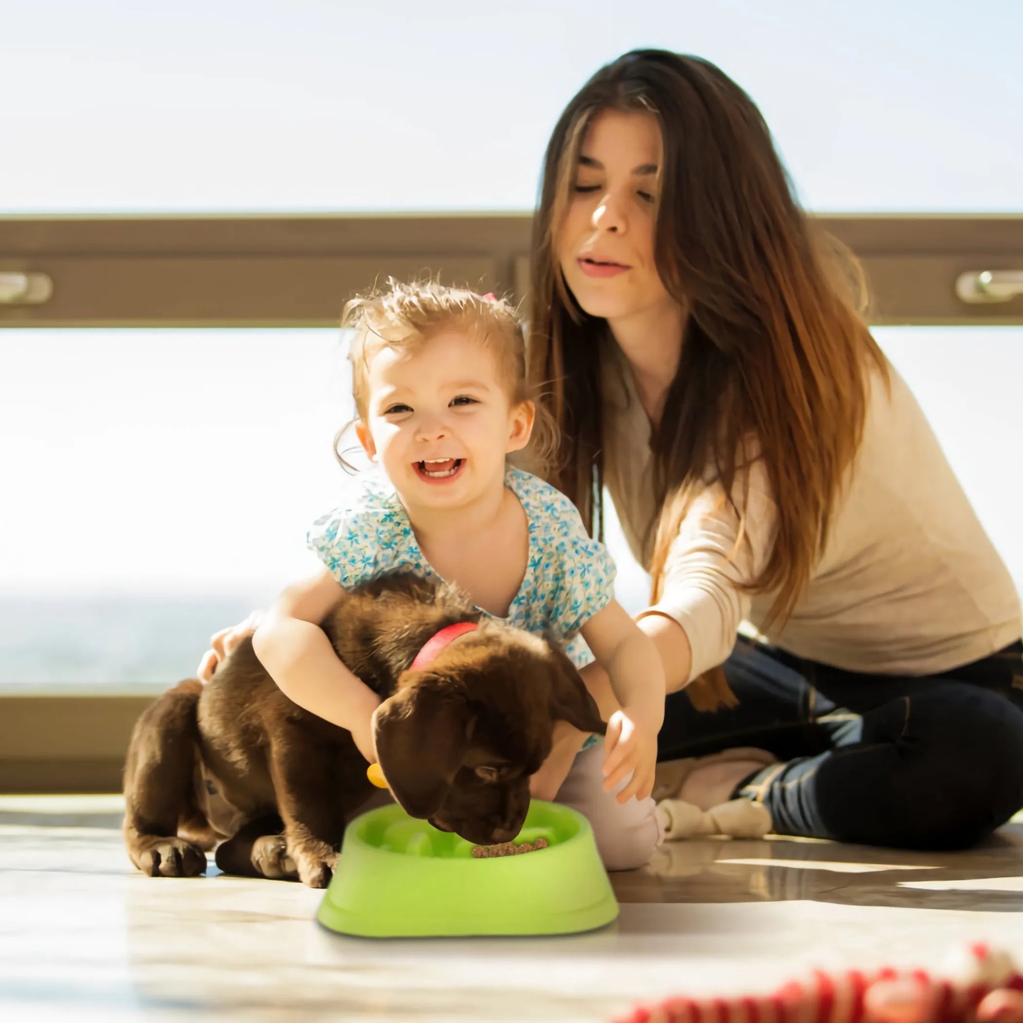 Dog Cat Slow Feeder Bowl