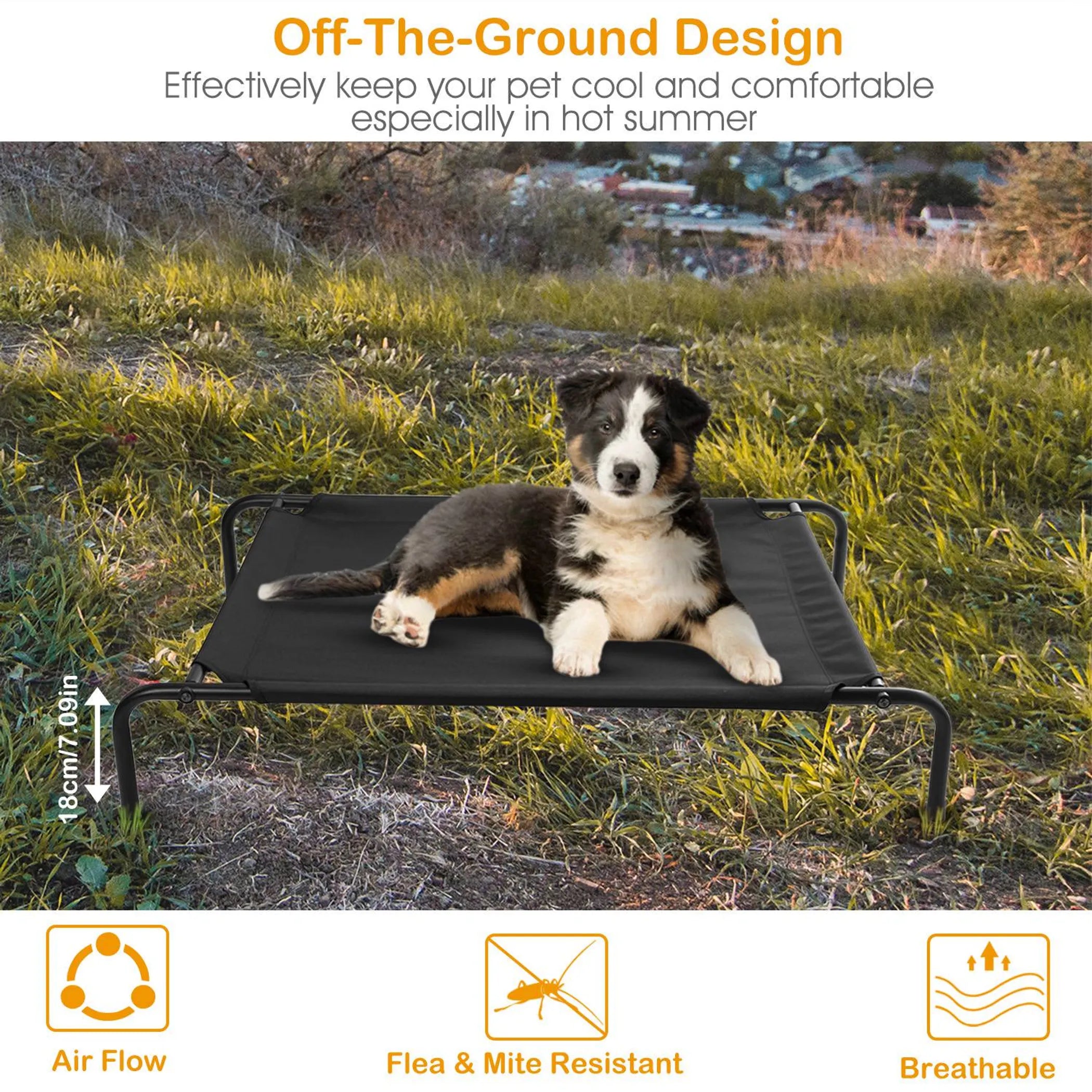 Elevated Pet Bed Dogs Cot