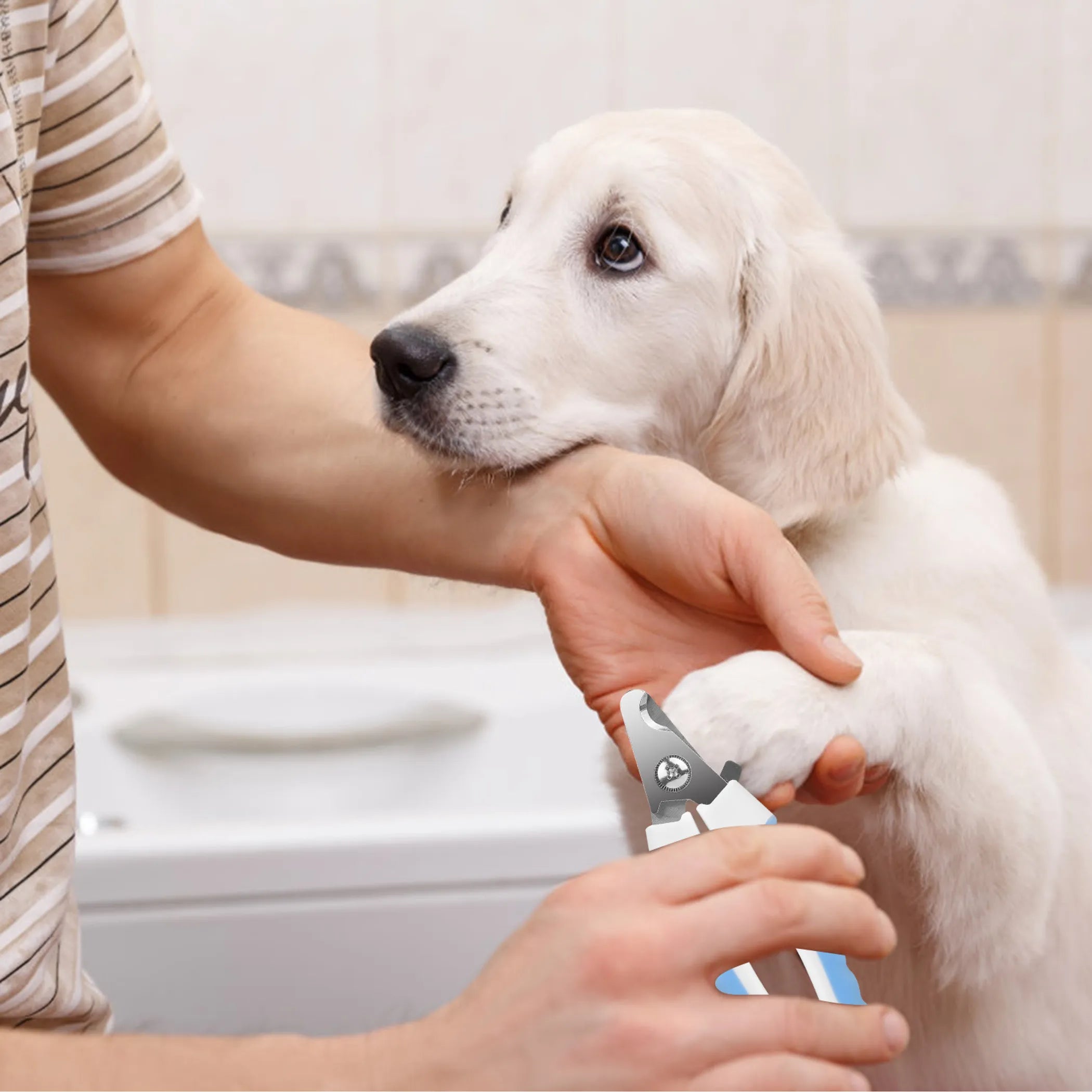 Dog Nail Clippers Pet Cat Nail Toe Trimmer